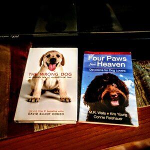 Dog Spelled Backwards is God - 30% Discount